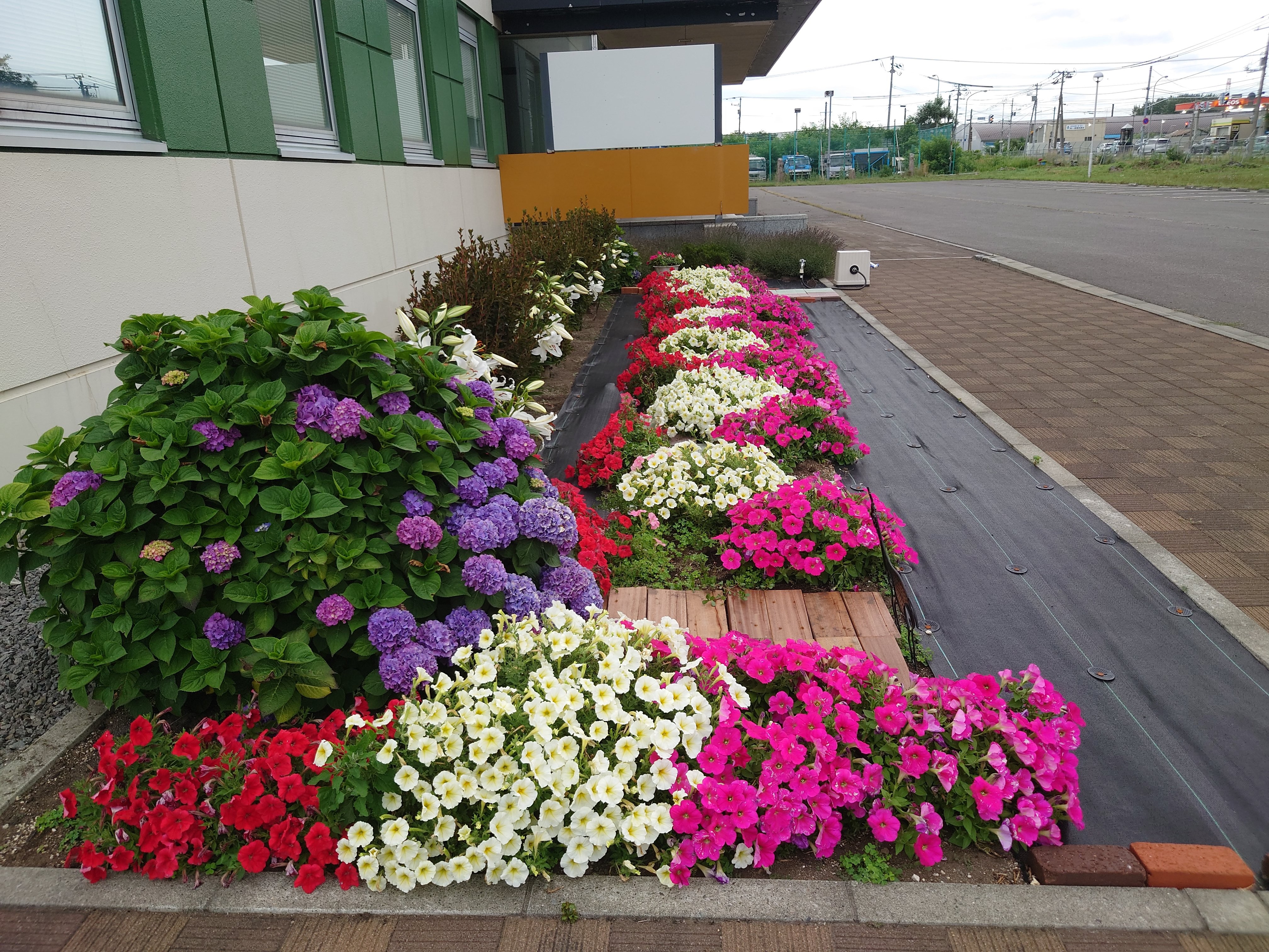 当社の肥料を利用している花壇です。