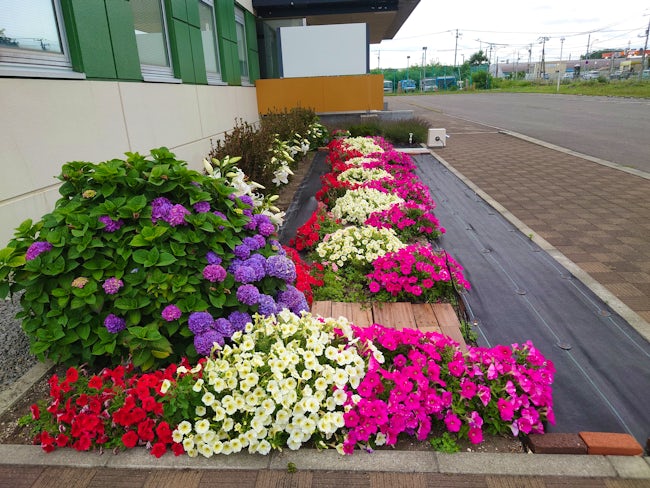 当社の肥料を利用している花壇です。