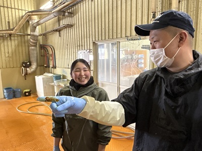 搾乳の他、エサのお世話、牛舎の掃除、水飲み場の清掃、病気の治療、設備の保全などお仕事はいろいろです。