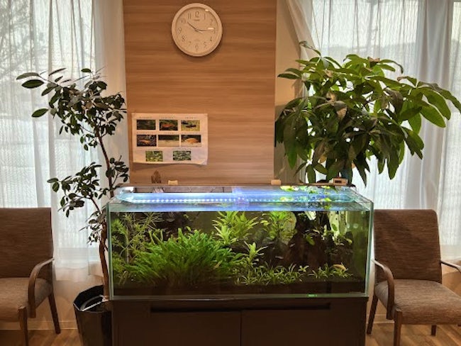 ＜1Fフロア＞センターに水槽や観葉植物などもあり、ご利用者さま・職員が「ほっとできる空間」・「憩いの場としての癒やし」に役立っております。