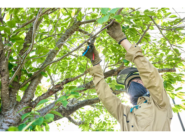 基本的に外で心地よく健康的に活躍できます。身体を動かすことが好きな方にはピッタリ!